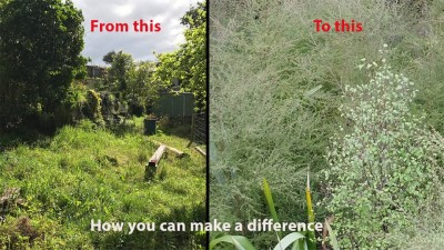 Instagram Garden restoration thumbnail